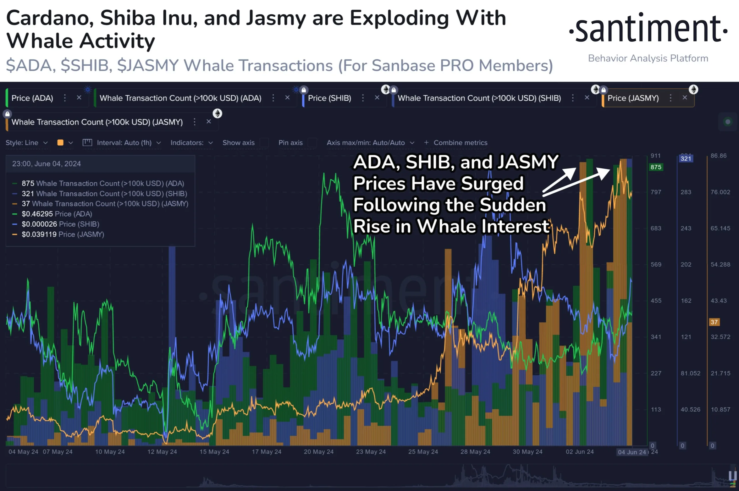 Shiba Inu & Cardano Whale Transactions