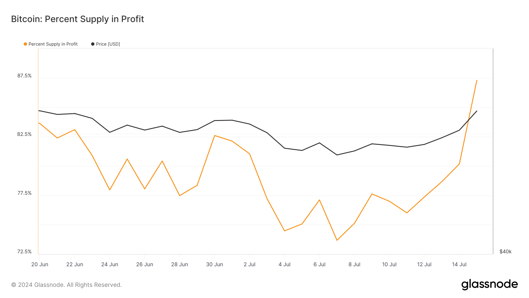 btc percent supply in profit