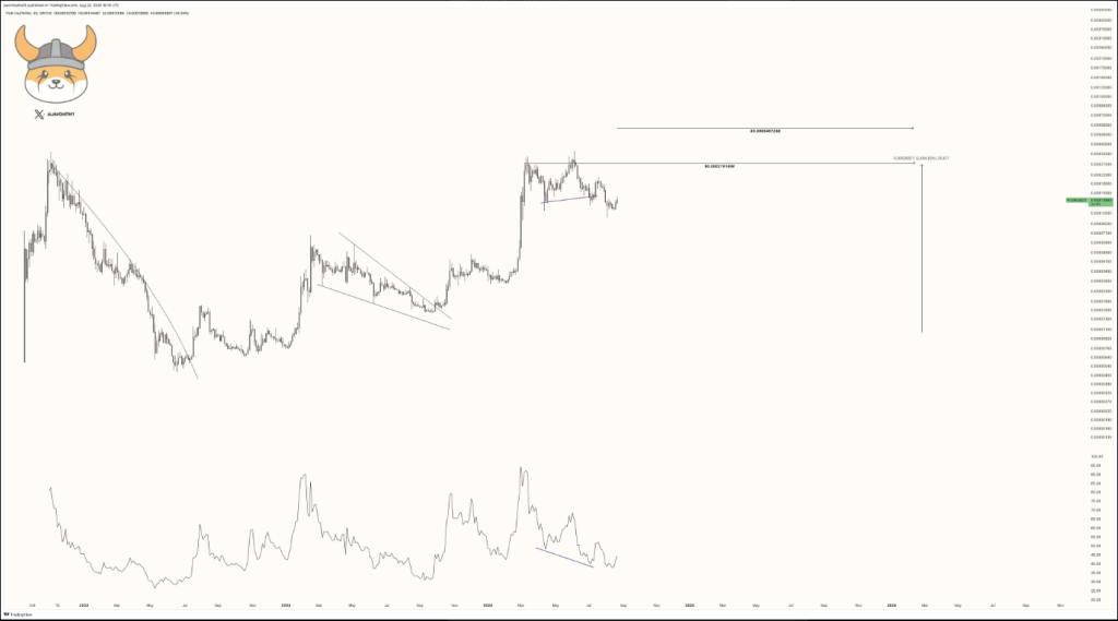 Floki Has 'More Room To Climb,' Targets 96% Rally