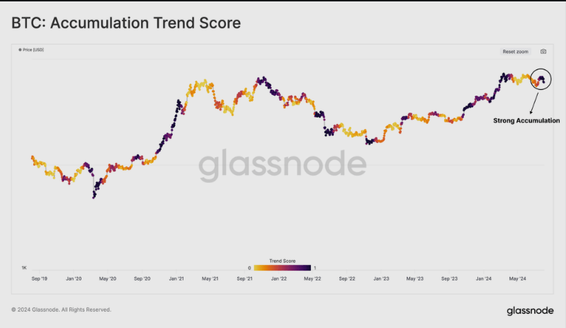 HODLing Resurgence? 374,000 Bitcoin Transfer Ignites Recovery