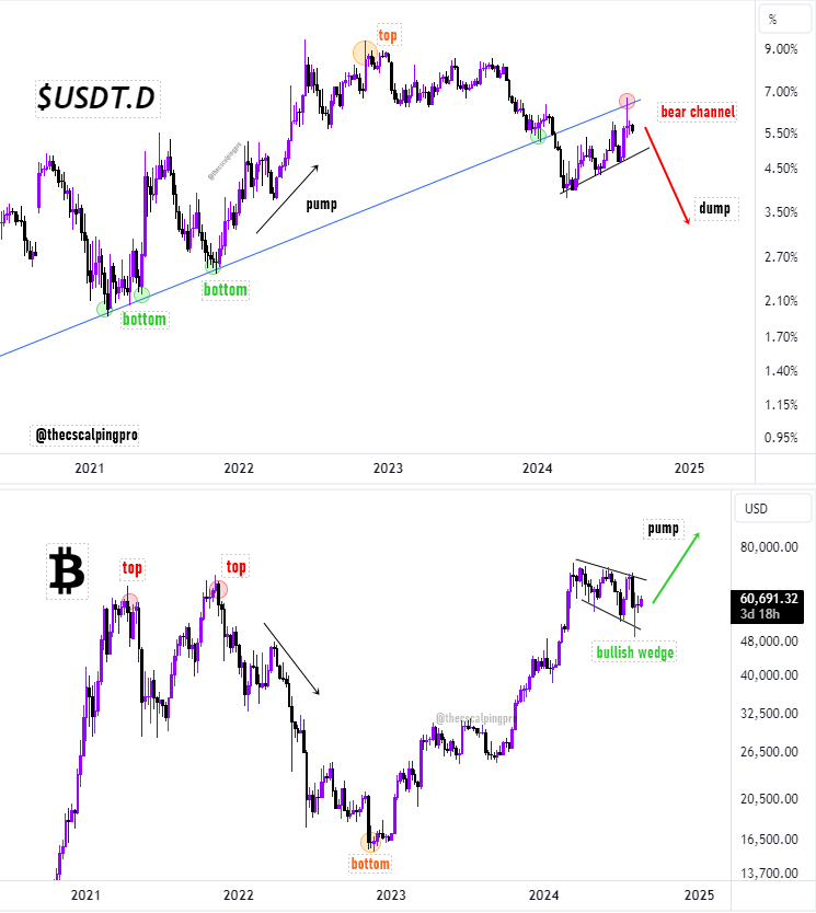 USDT.D and Bitcoin chart shared by Mags on X