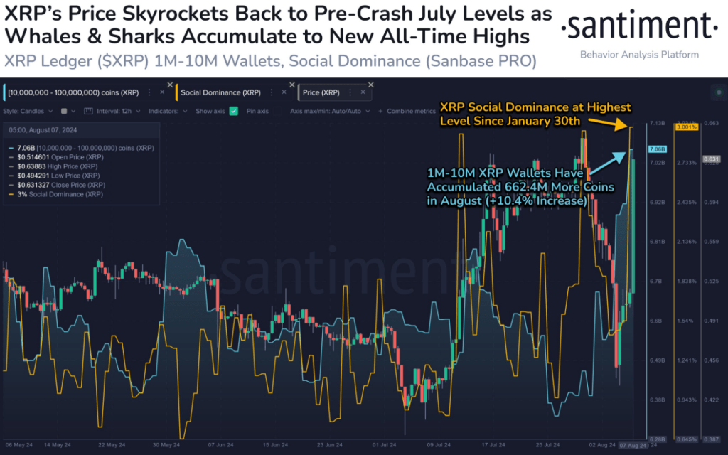 XRP Market Cap Explodes By 23% As Whale Appetite Soars