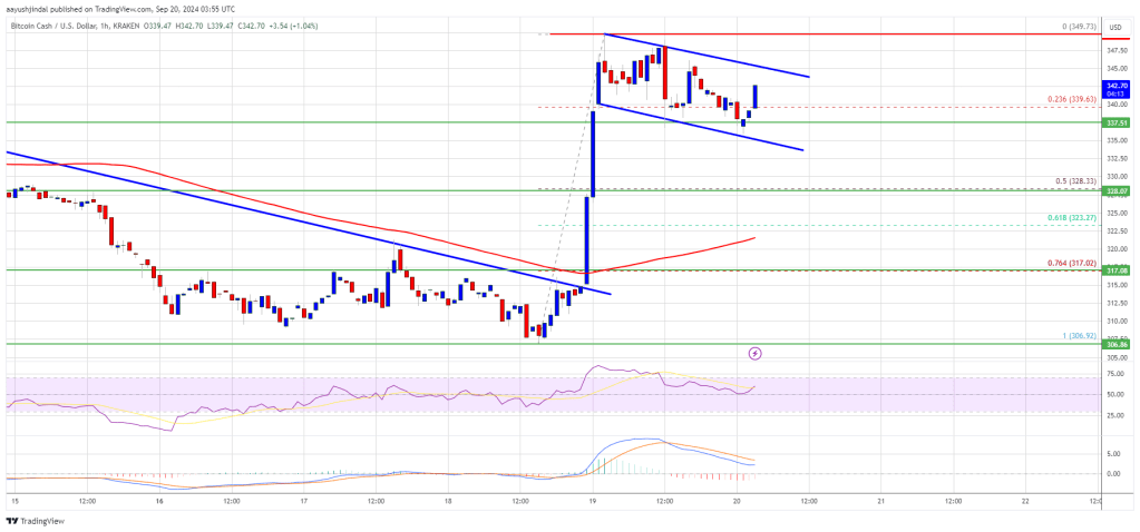 Bitcoin Cash Price