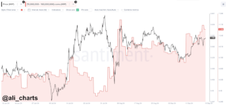 XRP whales