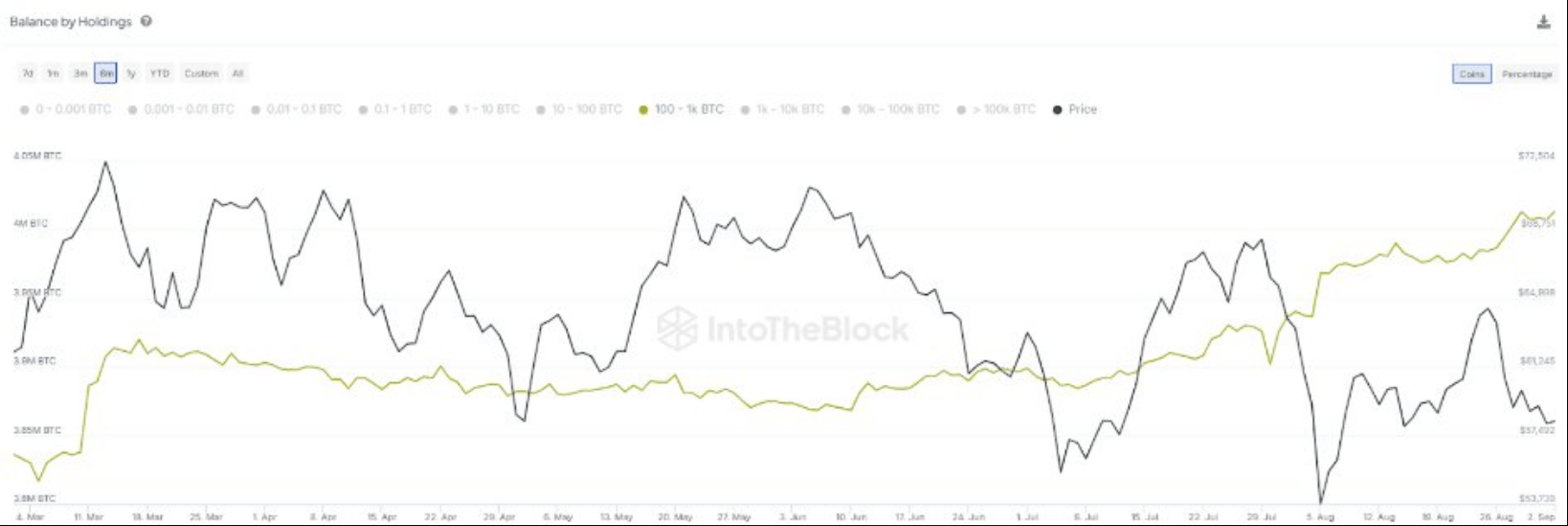 Major Bitcoin Addresses See 5% Holding Boost