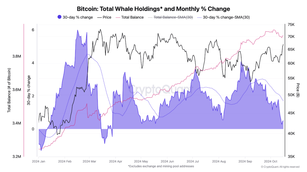 Bitcoin total whale holdings | Source: CryptoQuant