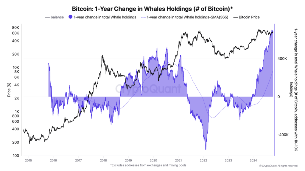 Bitcoin 1-year change in whale holdings | Source: CryptoQuant