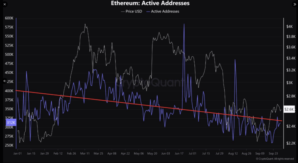 Bitcoin And Ethereum Addresses Shrink In 2024