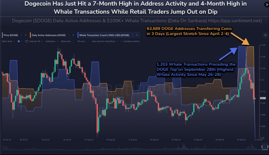 Dogecoin On-chain Spike Sparks 180% Price Rally Prediction